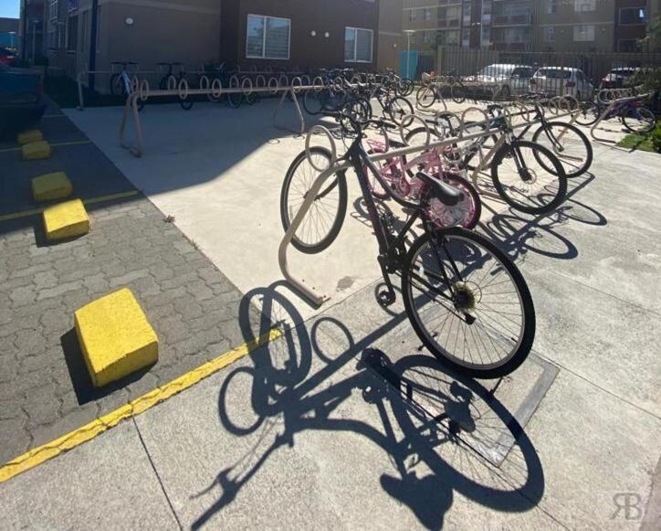 Parque al Volcán | Villarrica