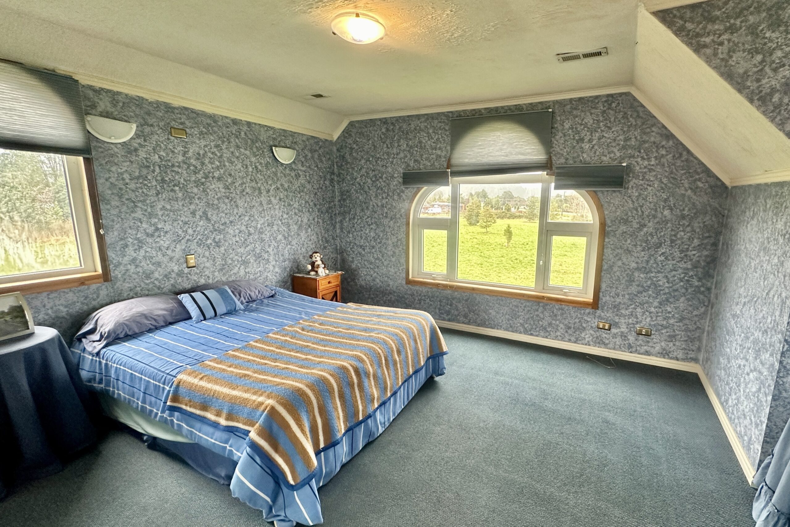 Carretera Austral | Chamiza