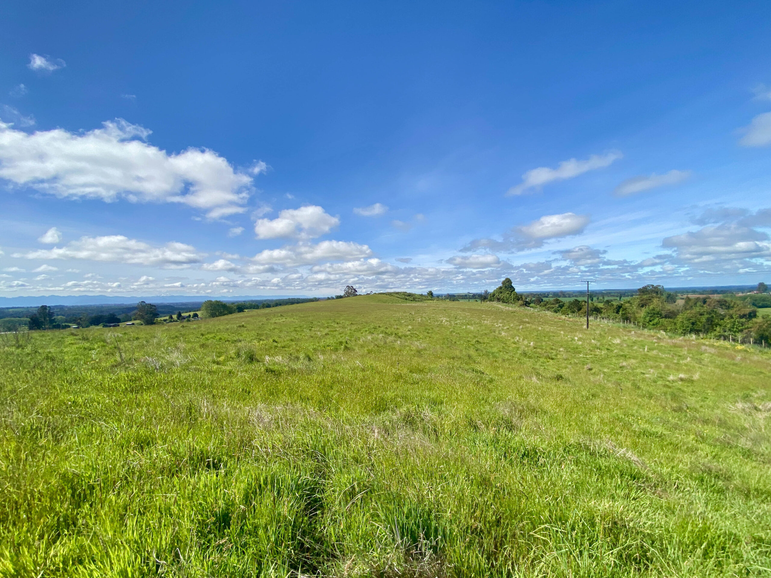 Parcela | Fundo Llanquihue