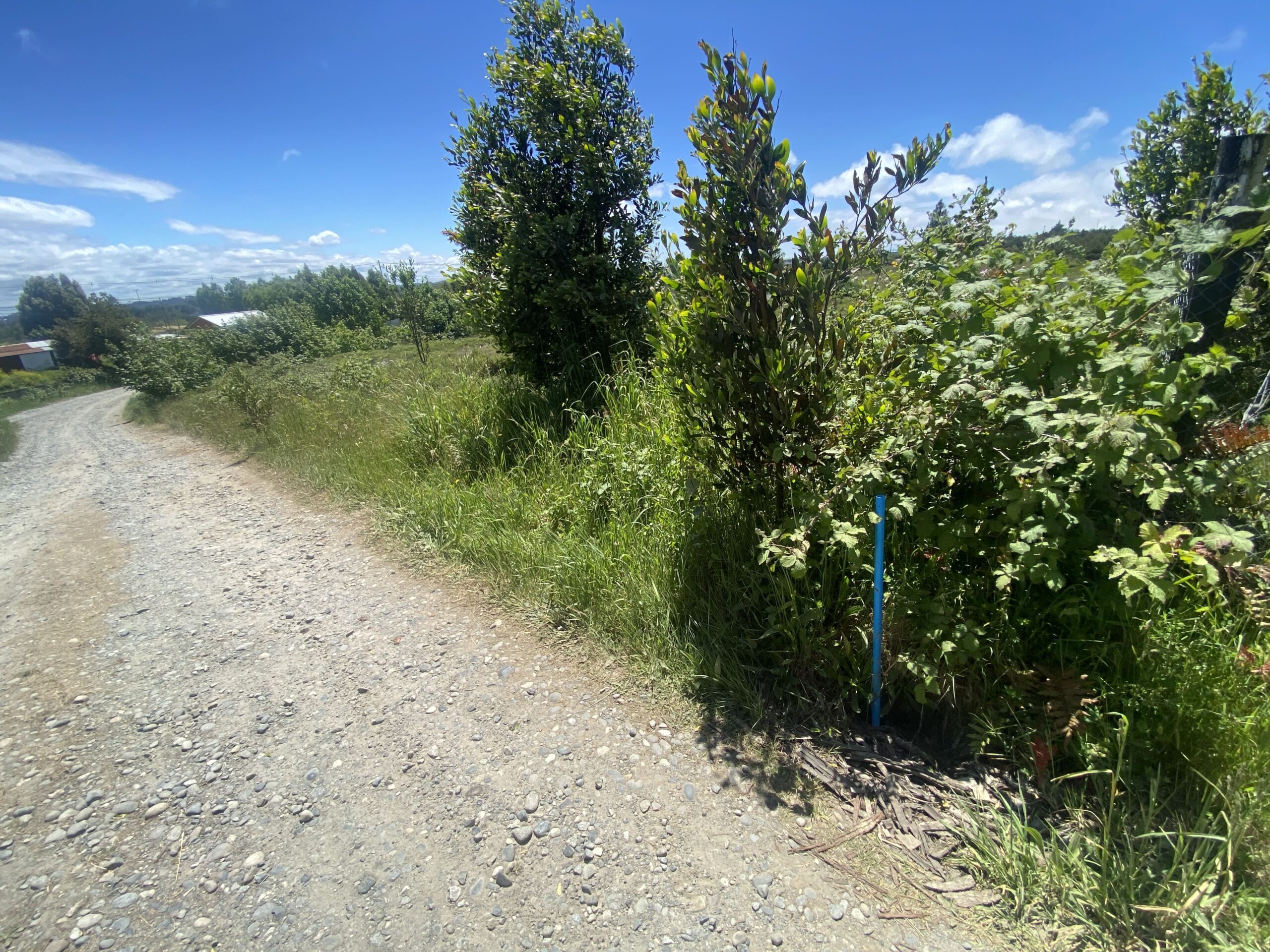 Terreno urbano | Ruta Trapén