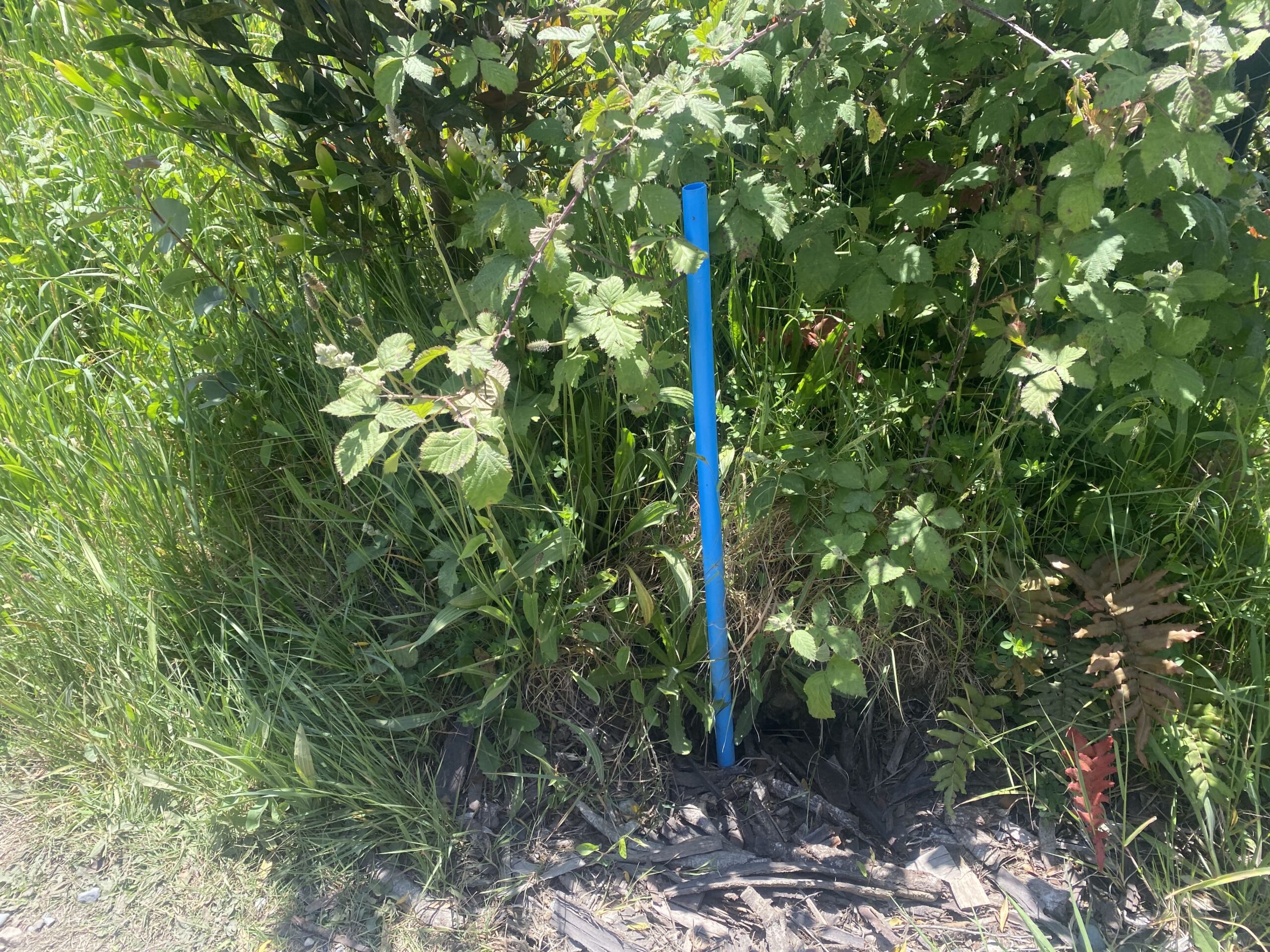 Terreno urbano | Ruta Trapén