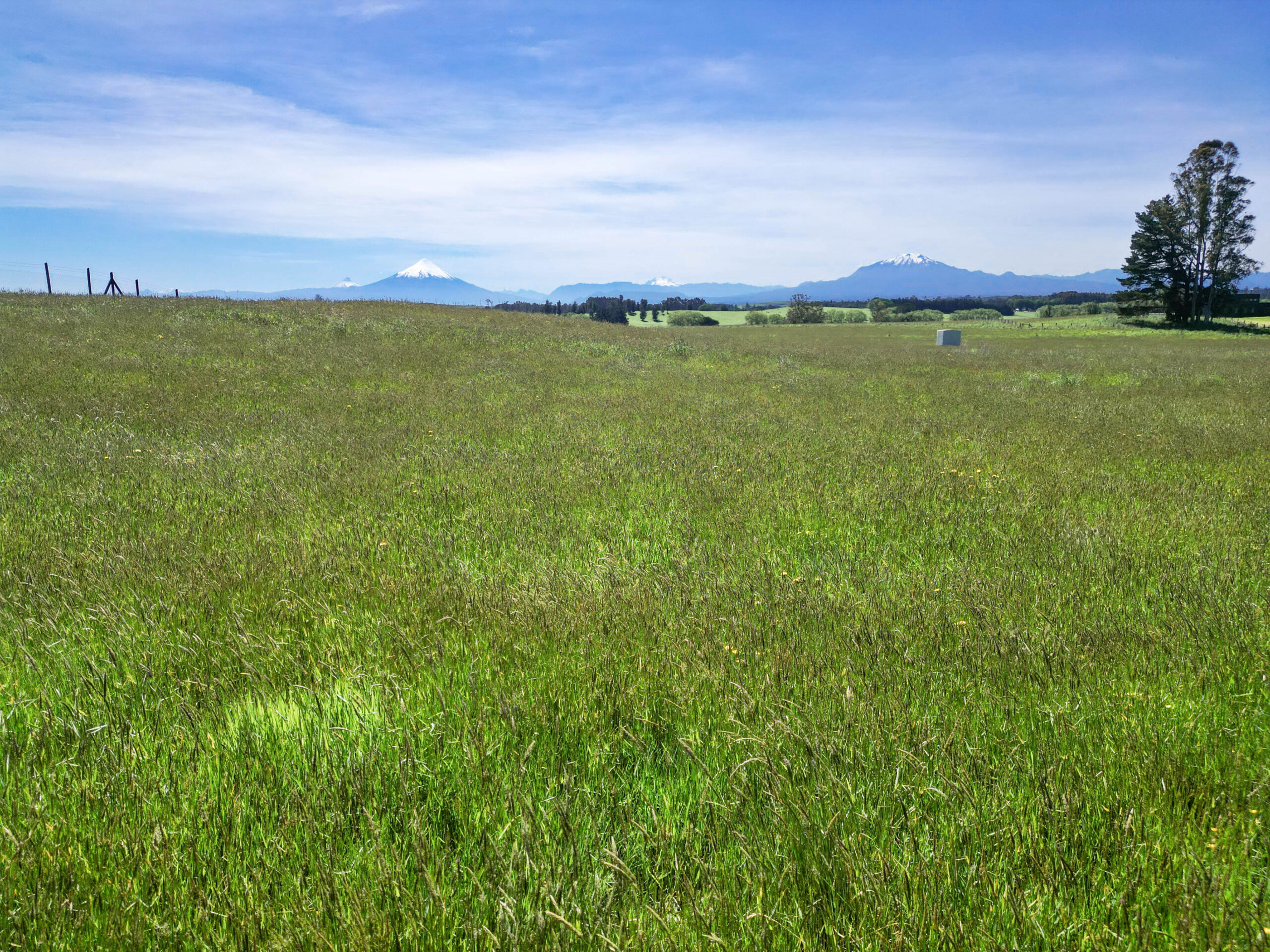 Parcela | Fundo Llanquihue