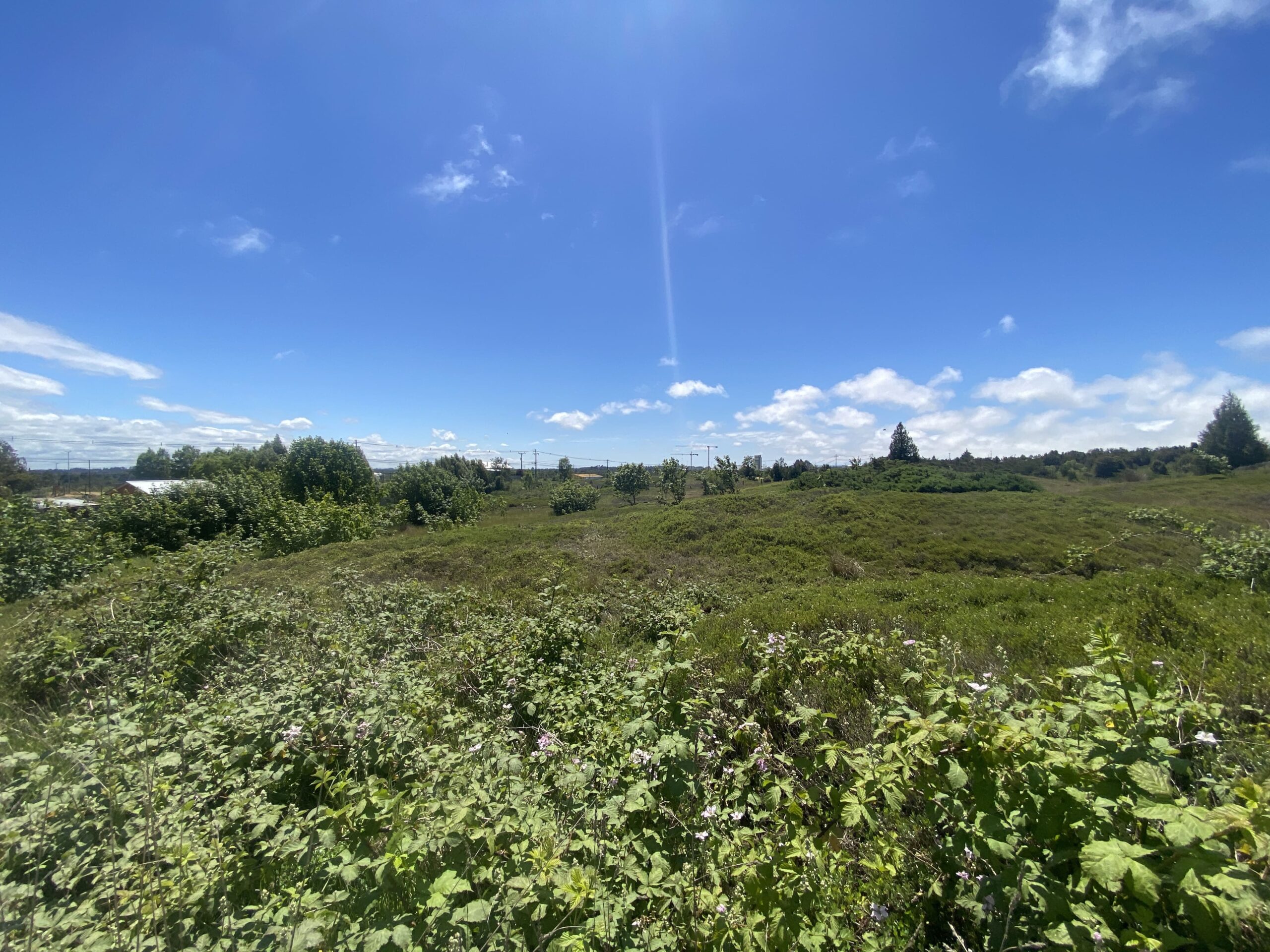 Terreno urbano | Ruta Trapén