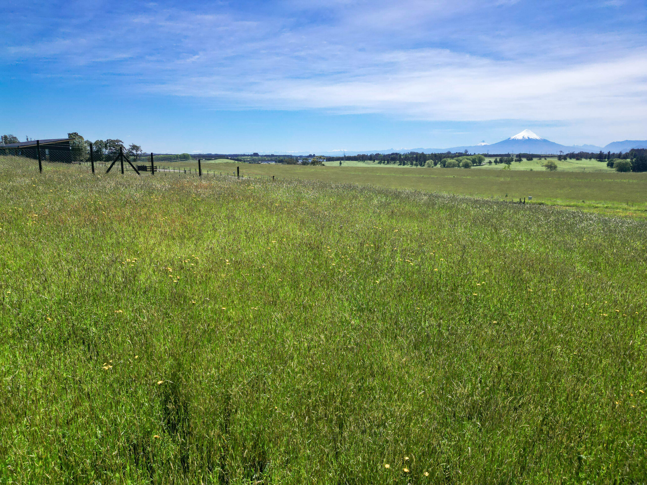 Parcela | Fundo Llanquihue