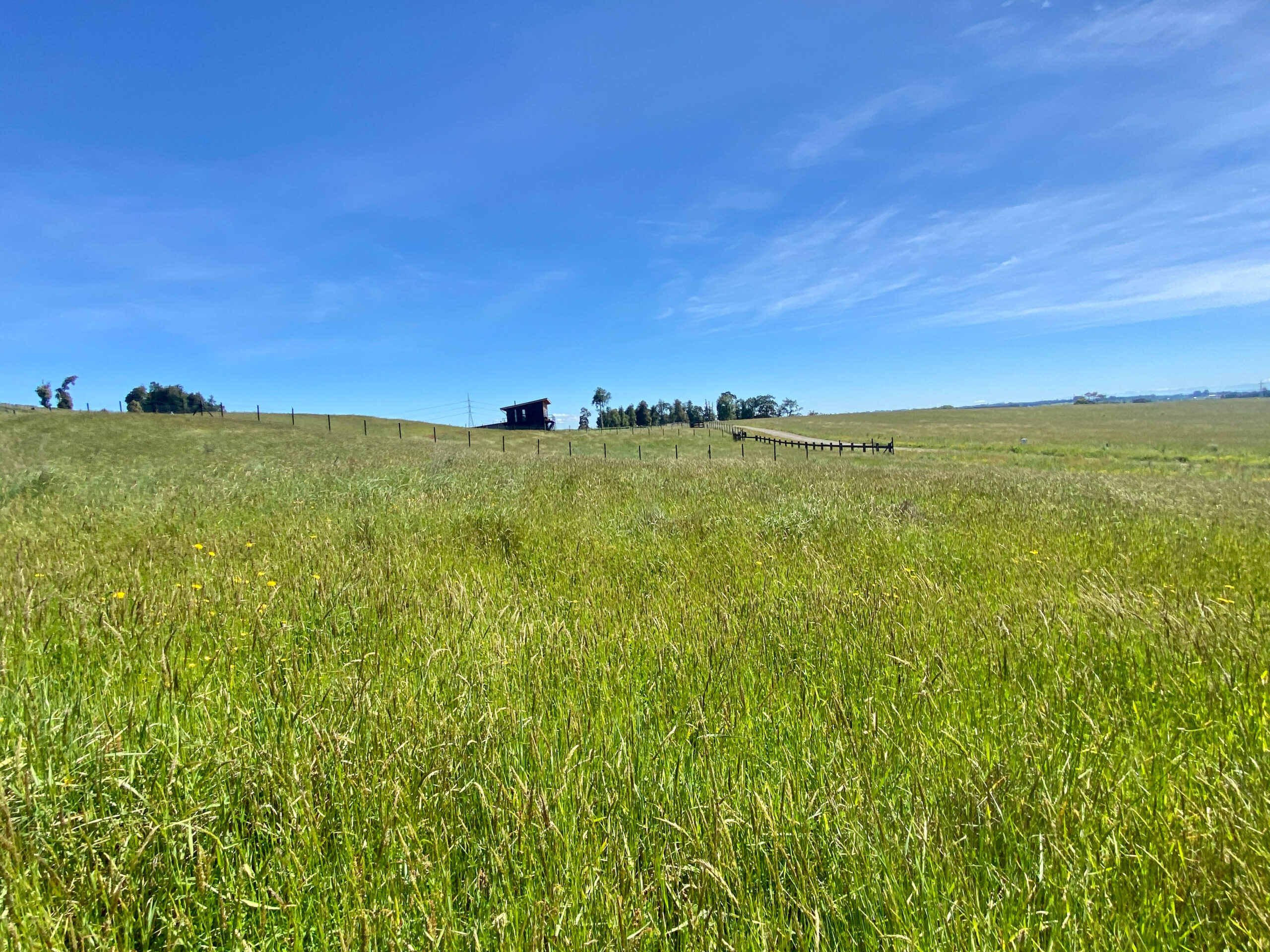 Parcela | Fundo Llanquihue