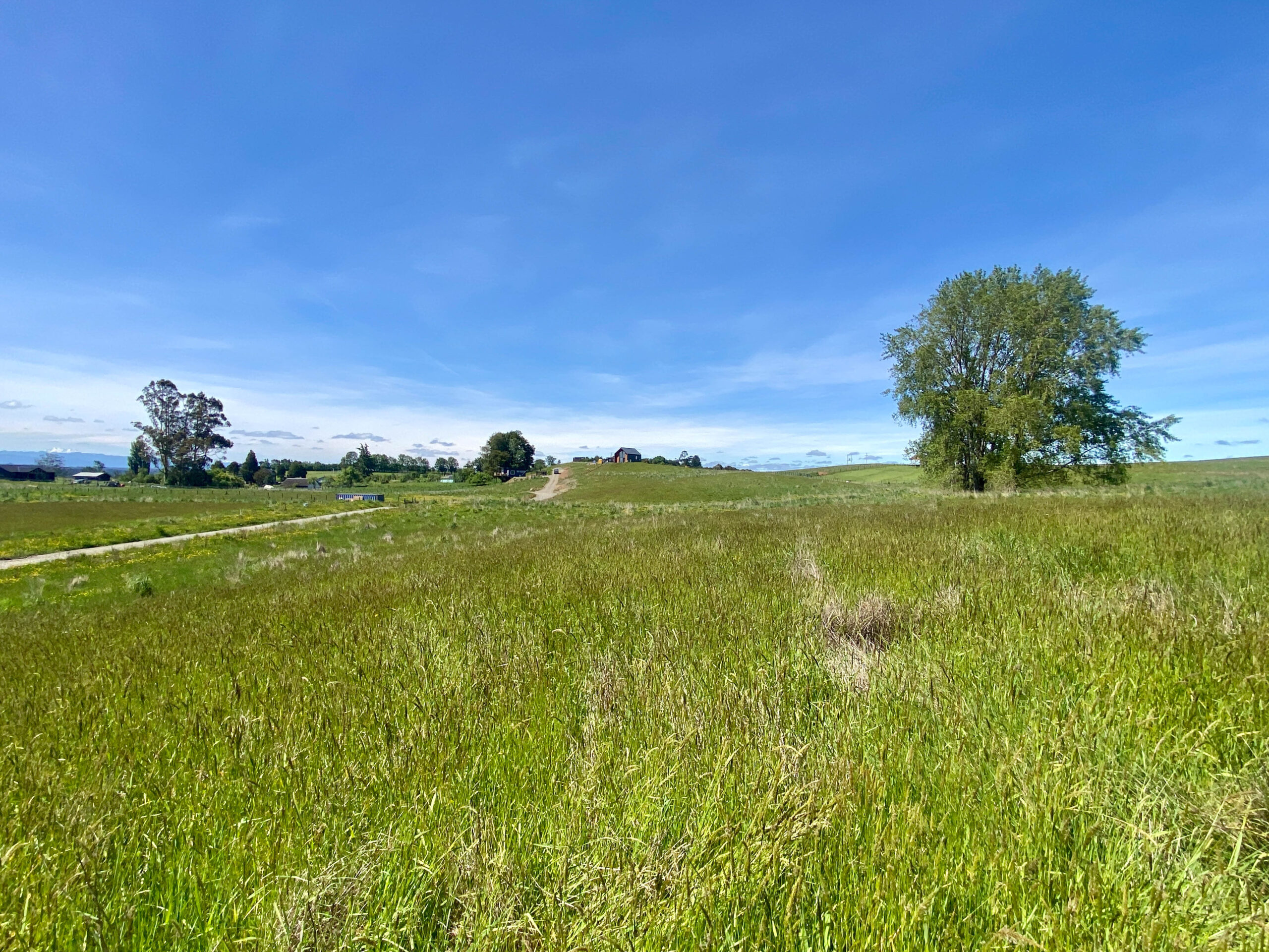 Parcela | Fundo Llanquihue