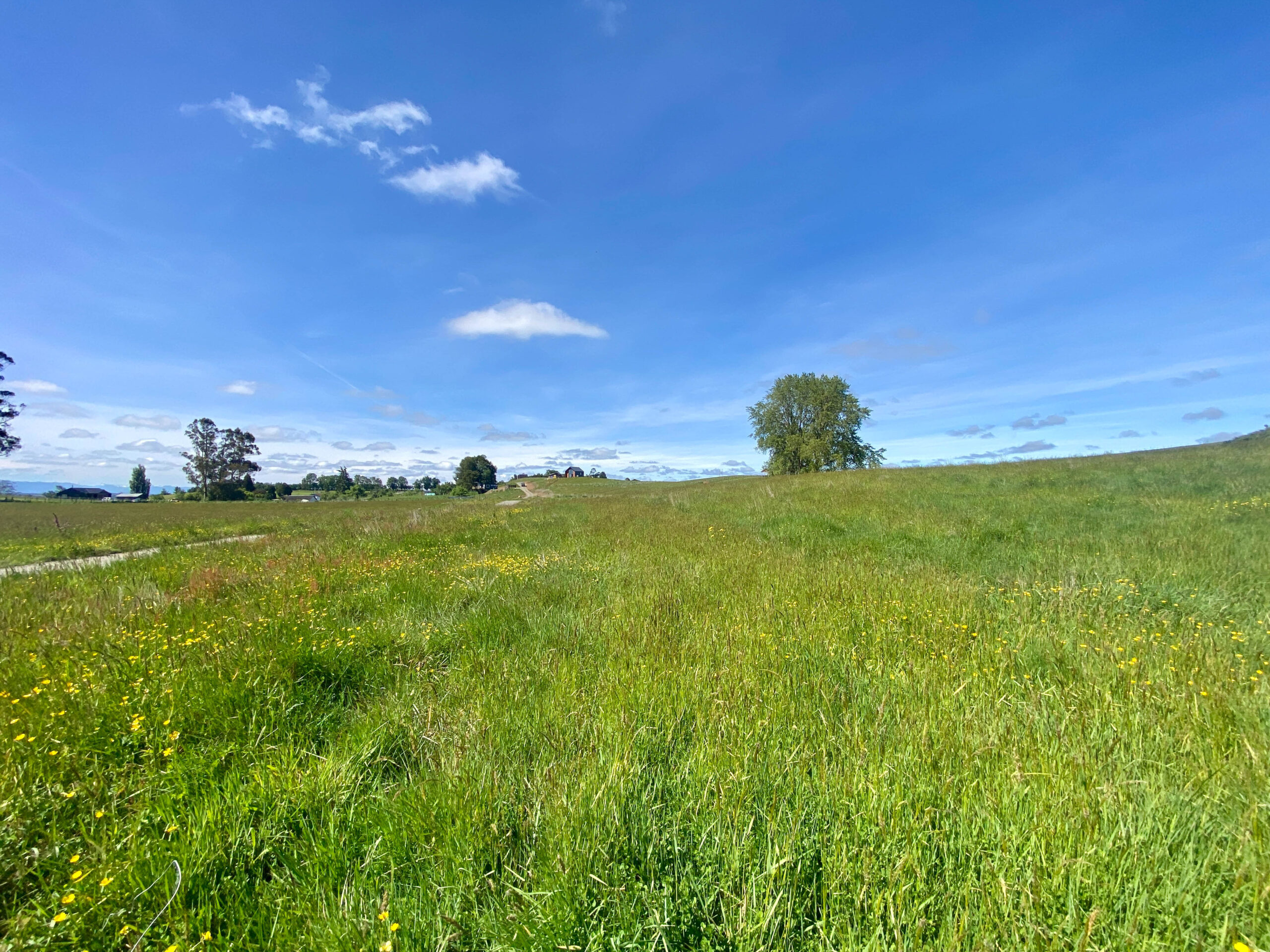 Parcela | Fundo Llanquihue