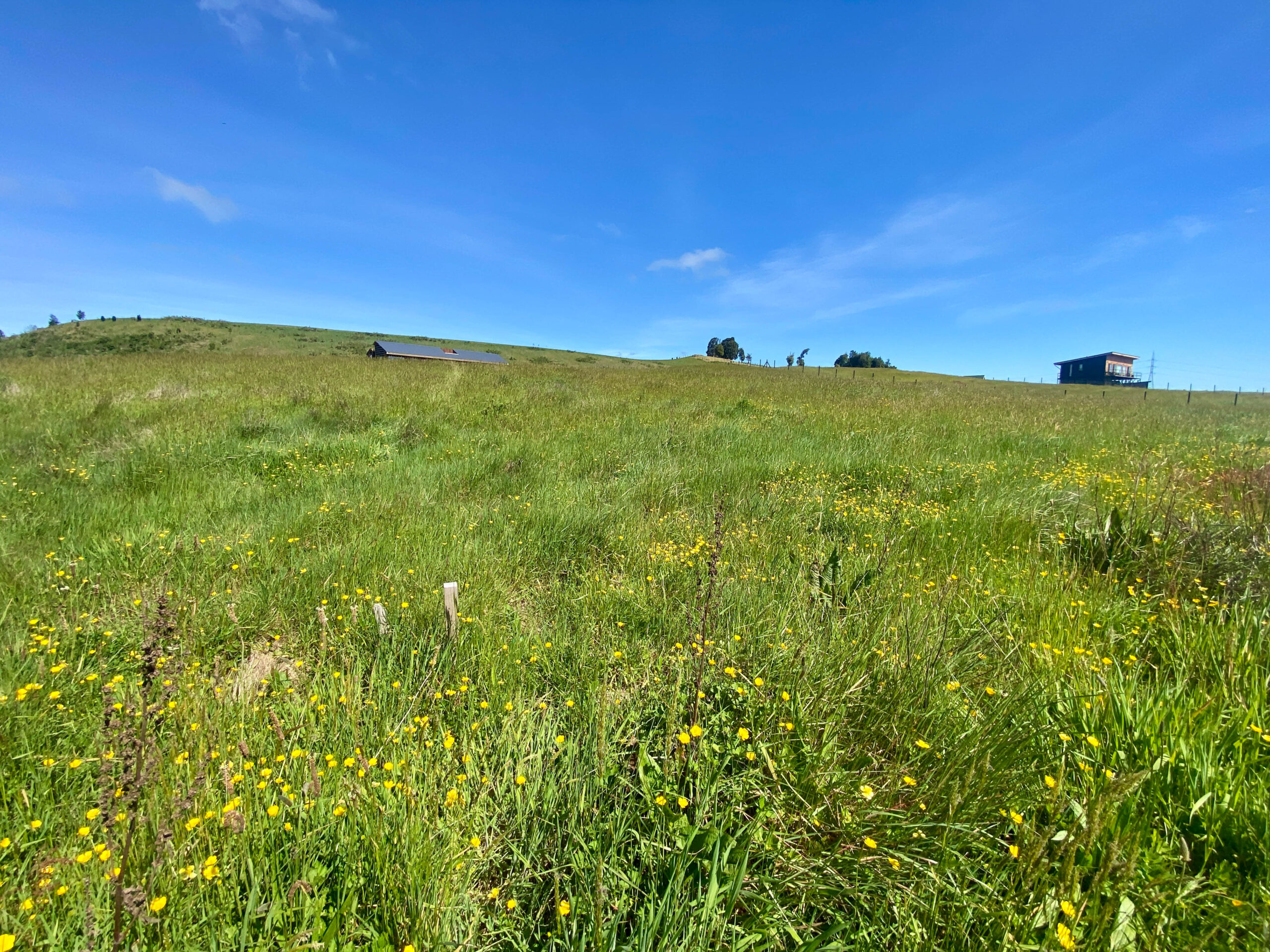 Parcela | Fundo Llanquihue