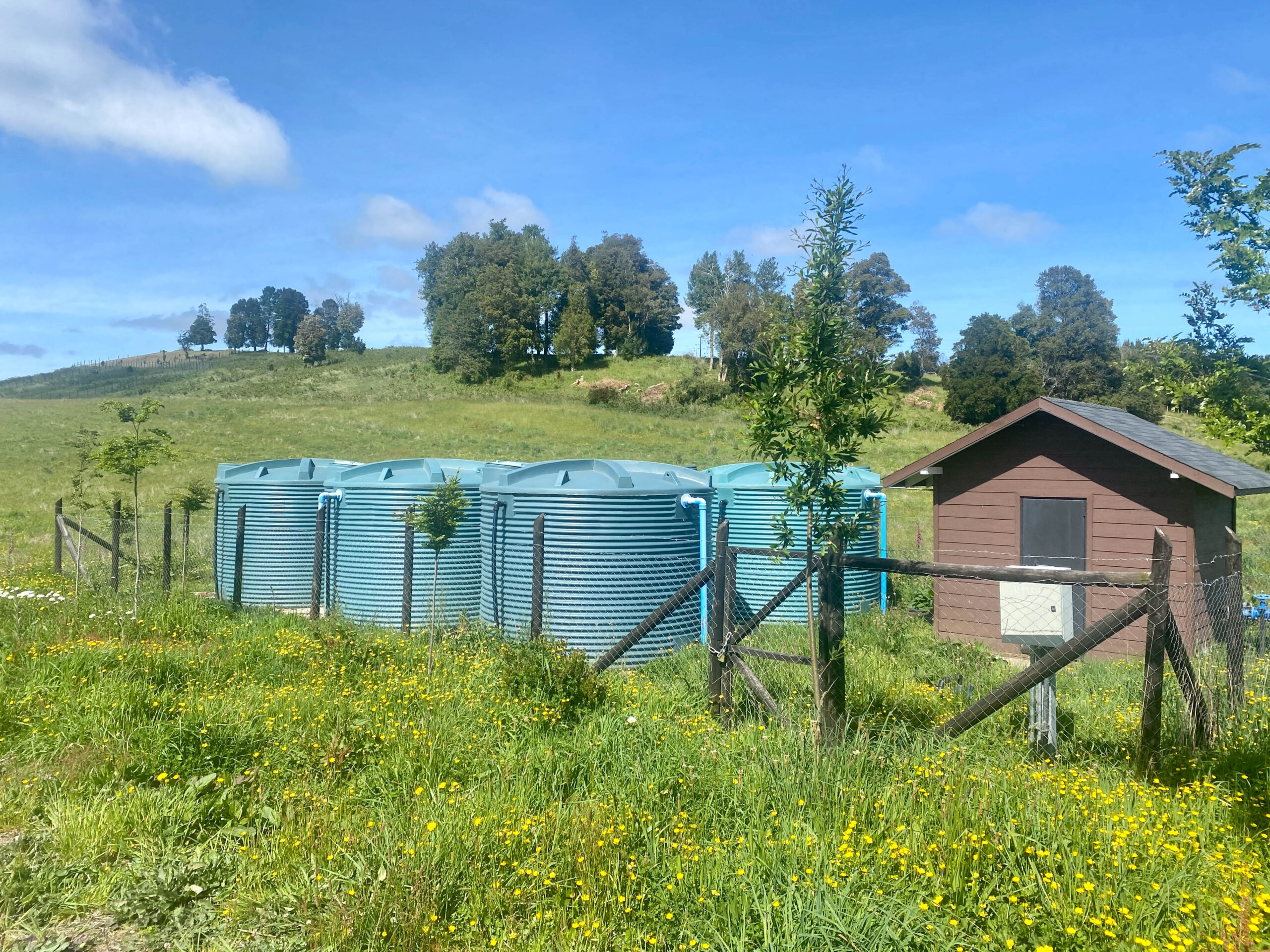 Parcela | Fundo Llanquihue