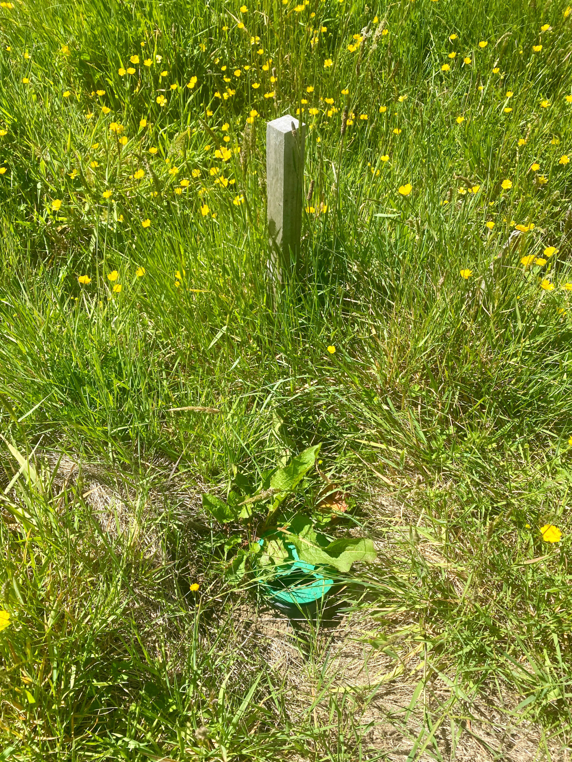 Parcela | Fundo Llanquihue