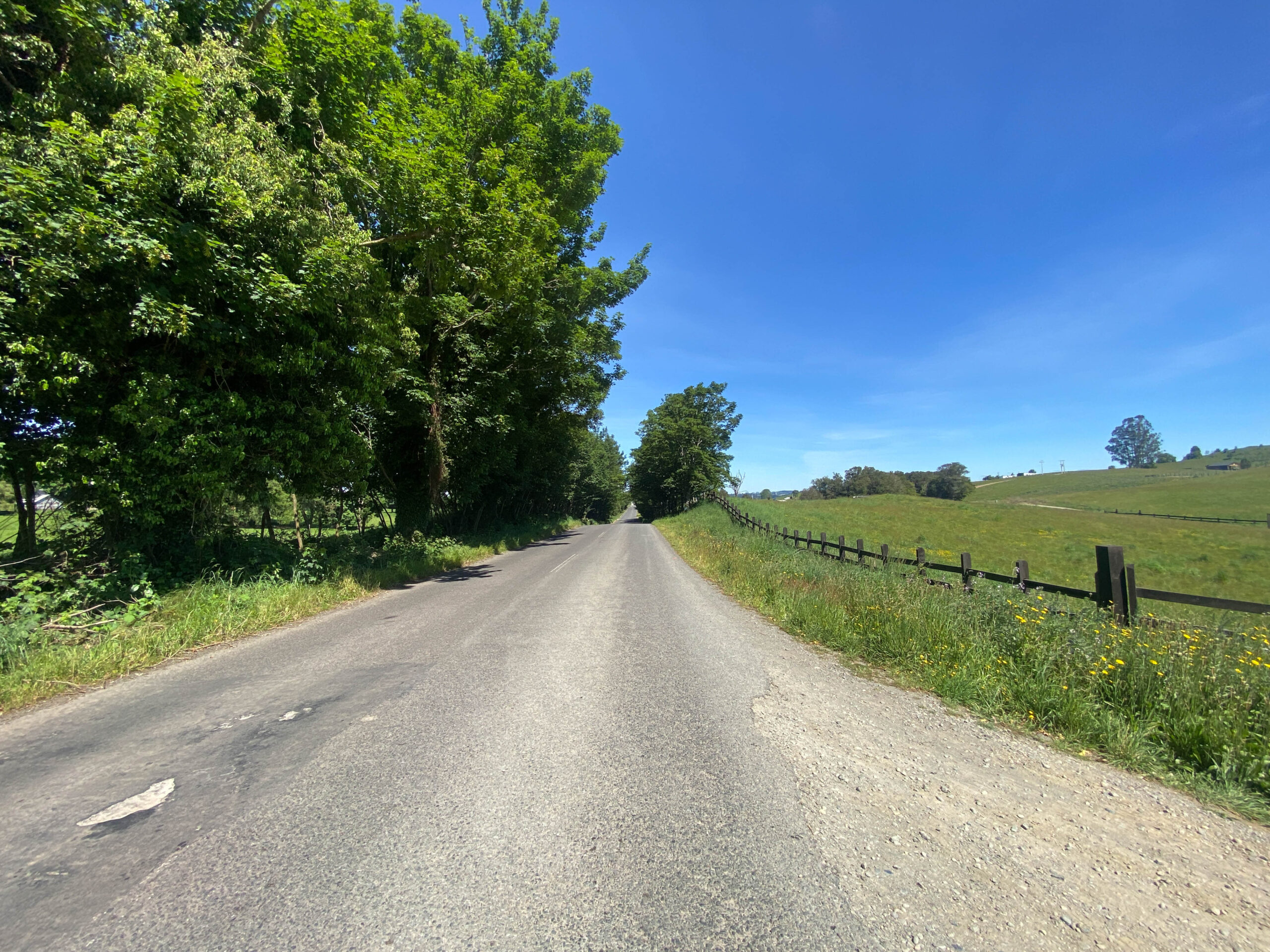 Parcela | Fundo Llanquihue