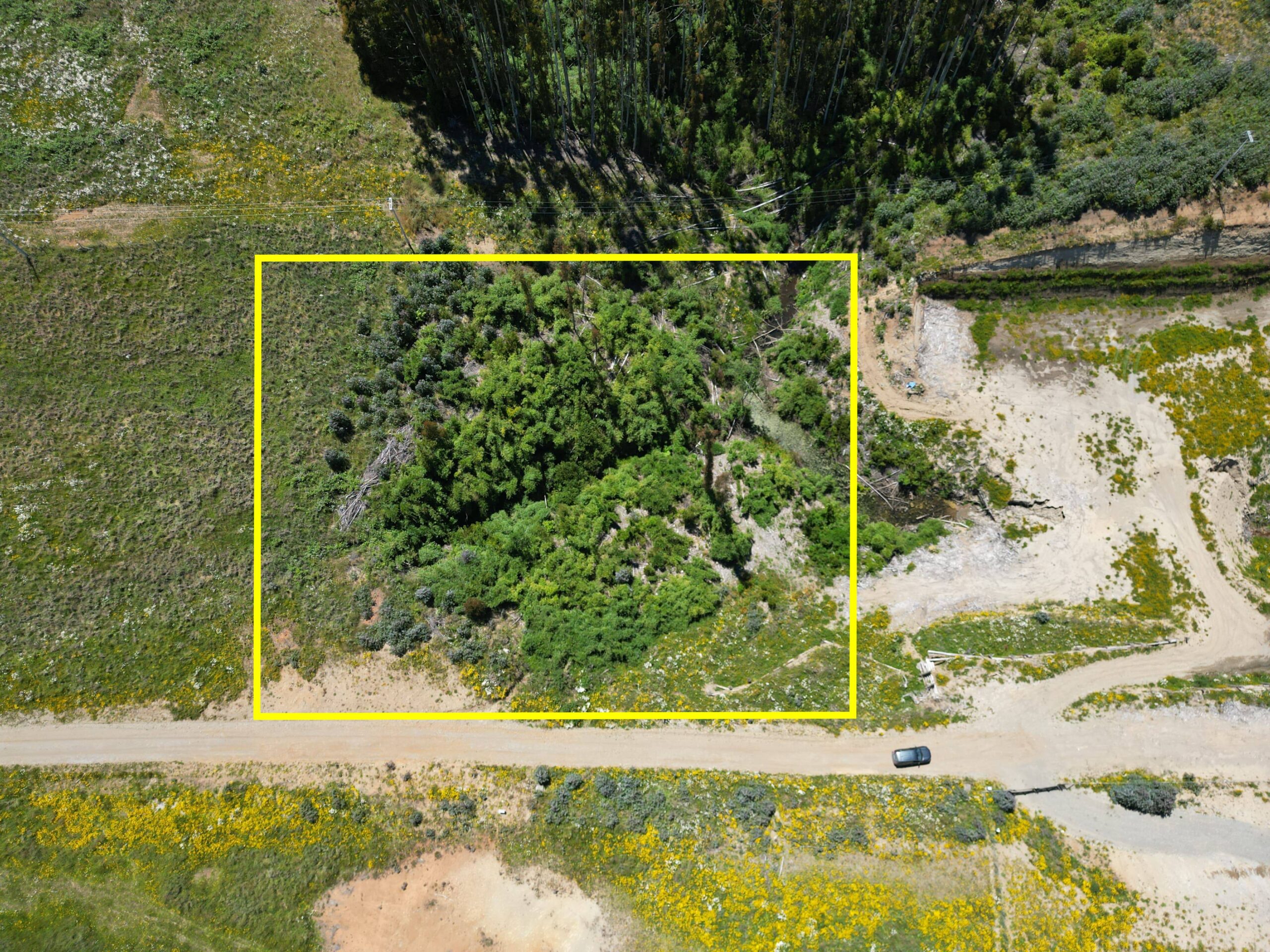 Brisas de Puerto Varas