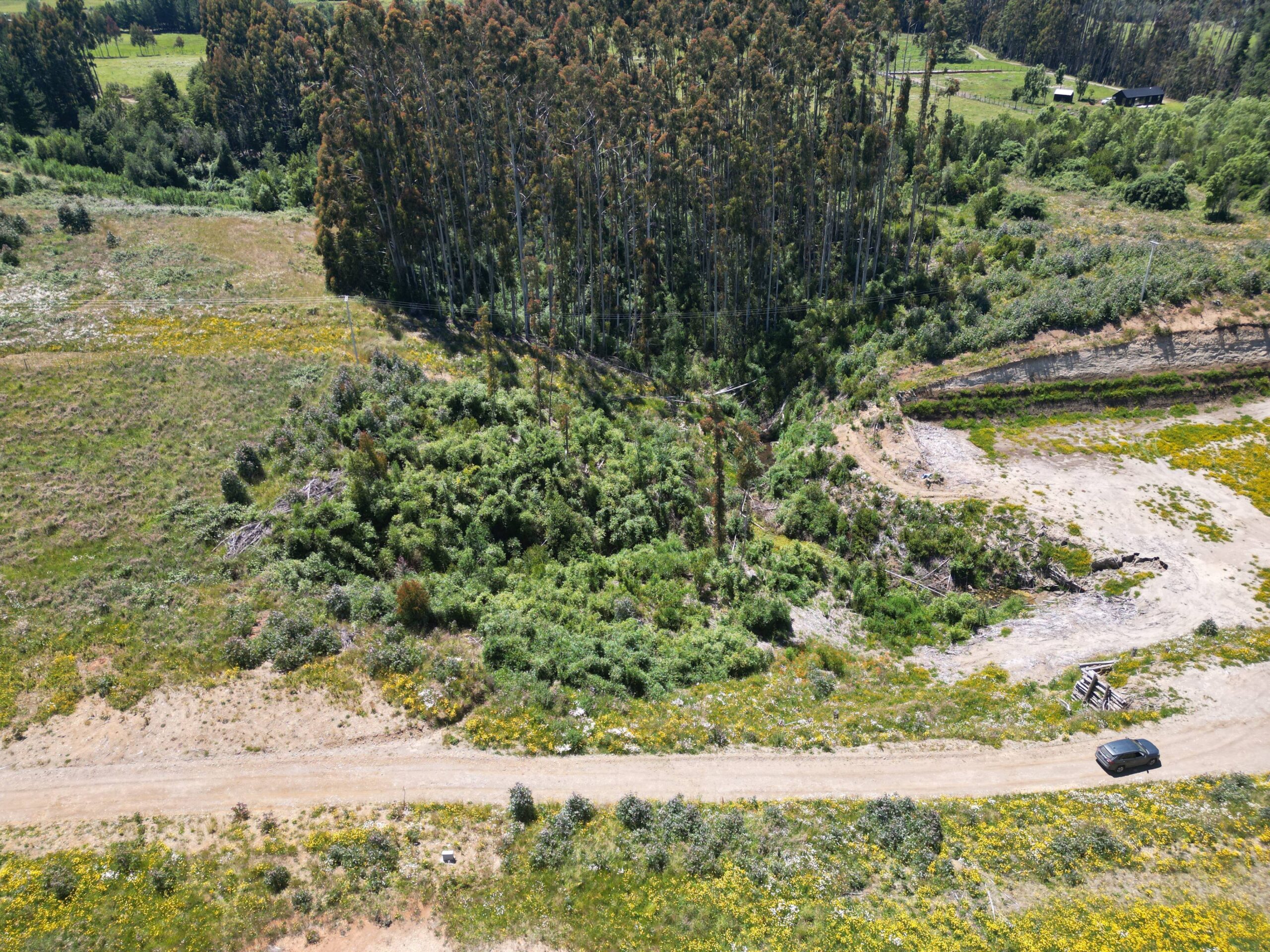 Brisas de Puerto Varas