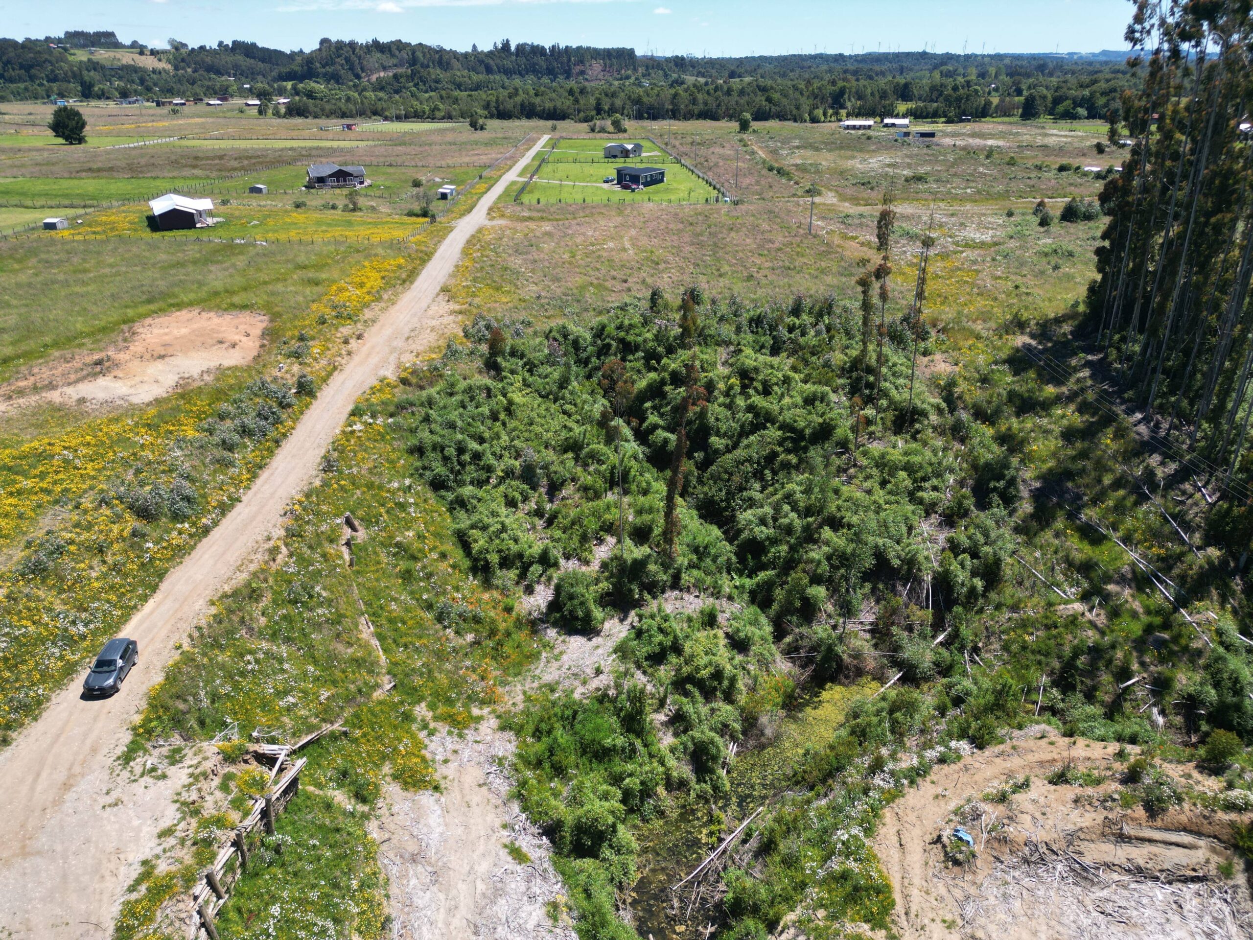 Brisas de Puerto Varas