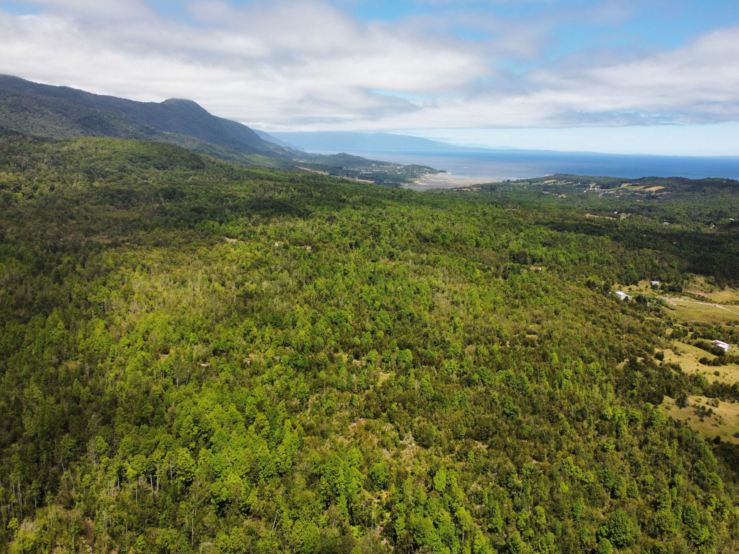 Terrenos 2.3 ha. | Piedra Azul