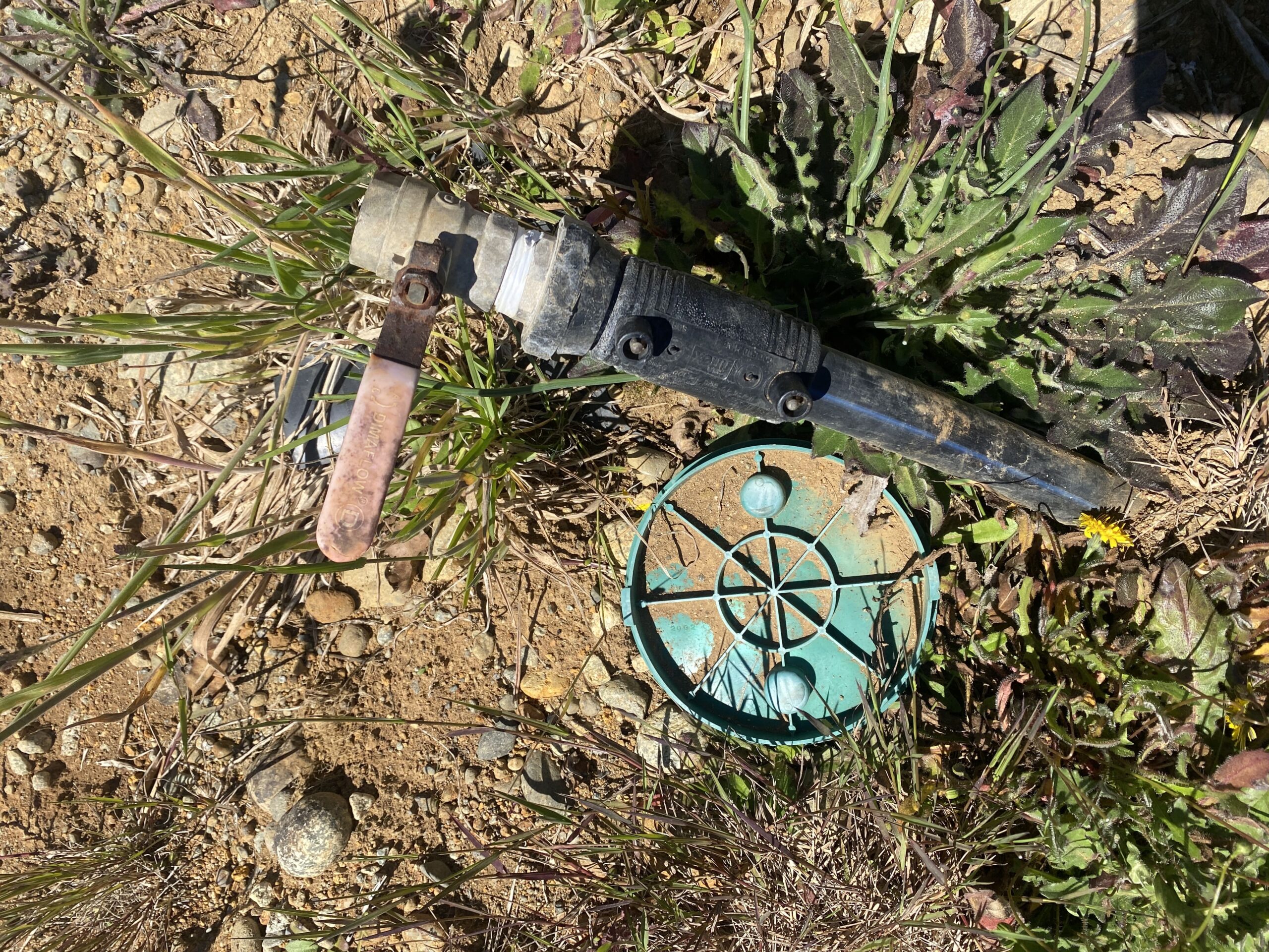 Brisas de Puerto Varas