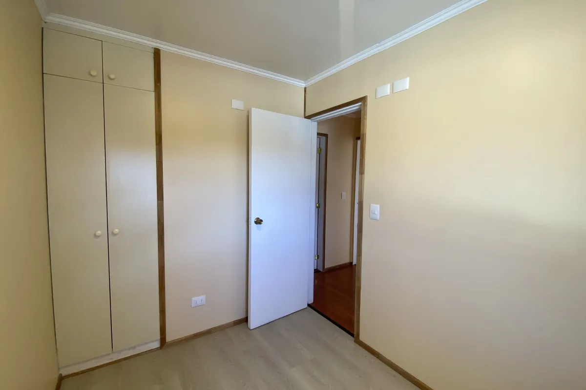 Renovada! | Sector Cardonal