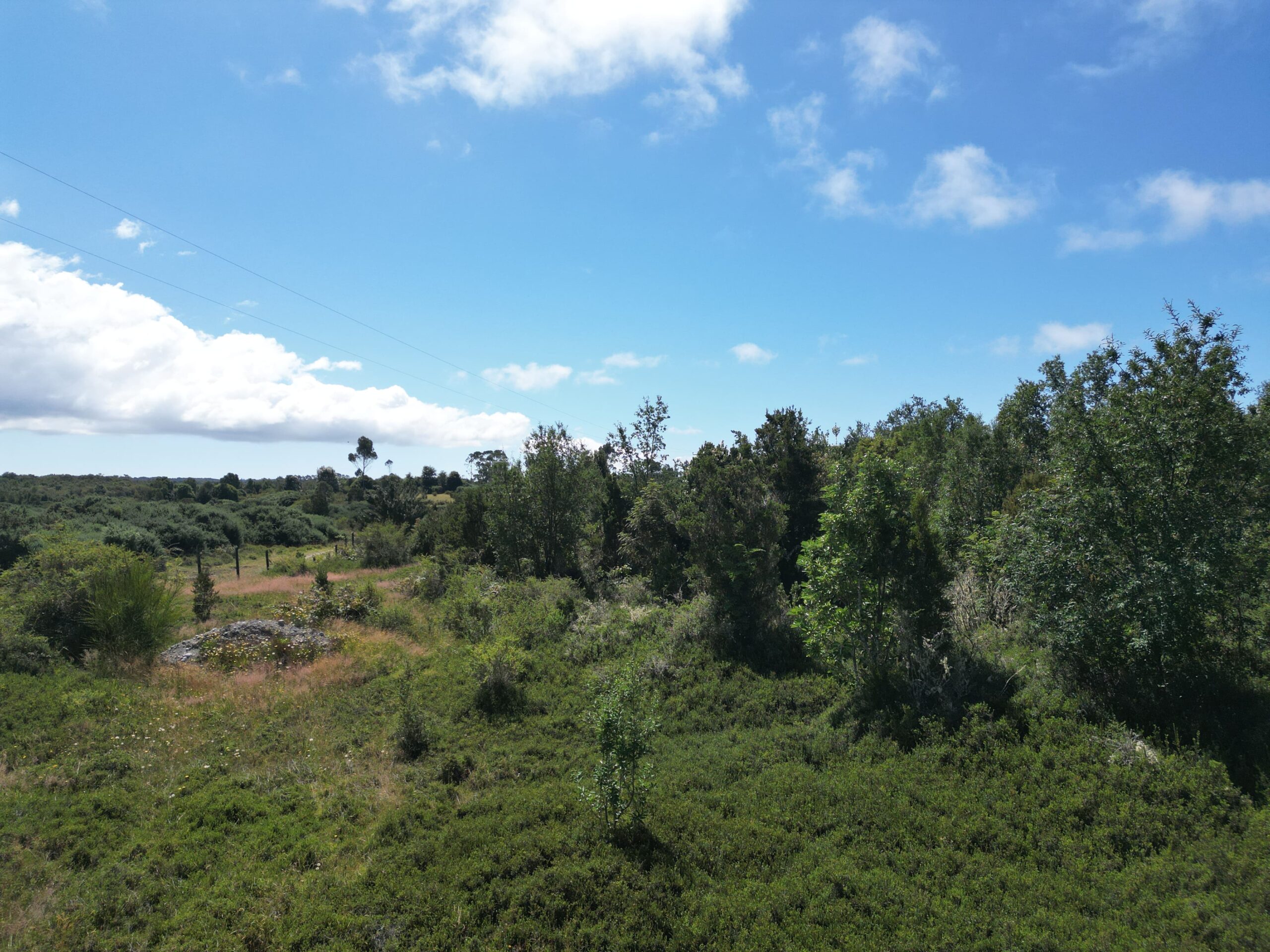 Sector Coñimó | Ancud