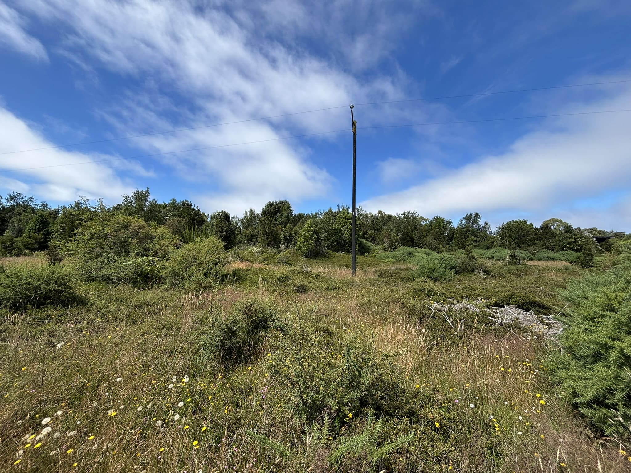 Sector Coñimó | Ancud