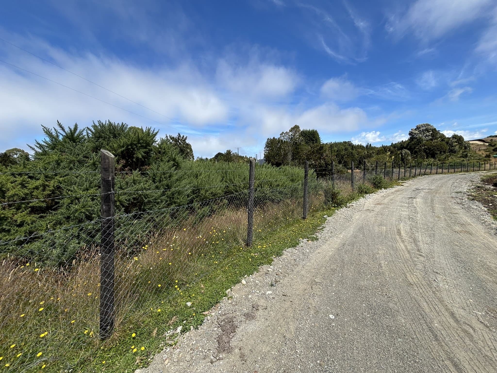 Sector Coñimó | Ancud