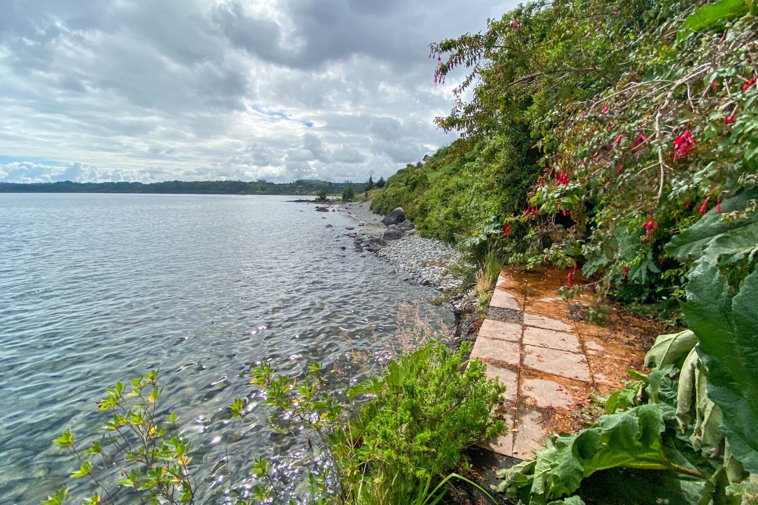Bajada lago | Playa Hermosa