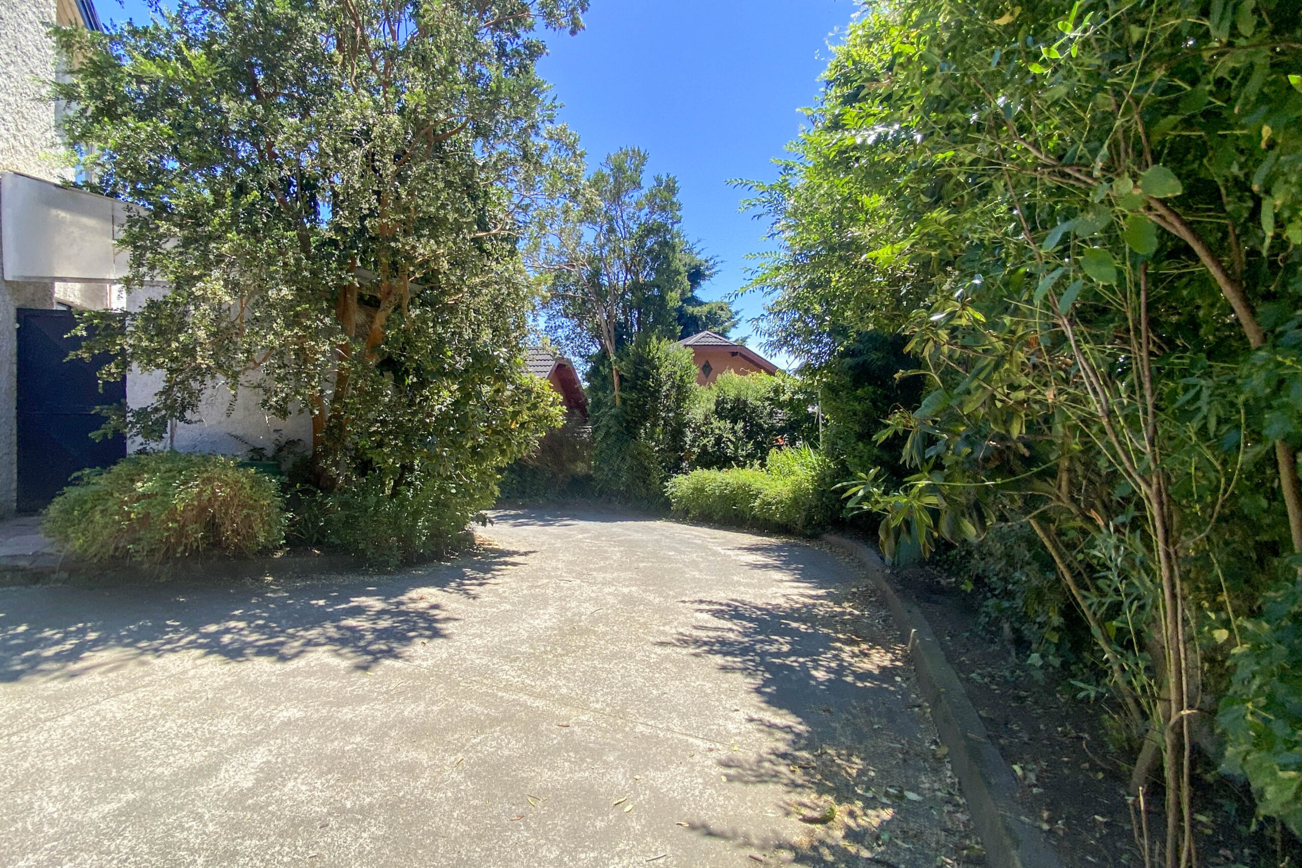 Los Castaños | Puerto Varas