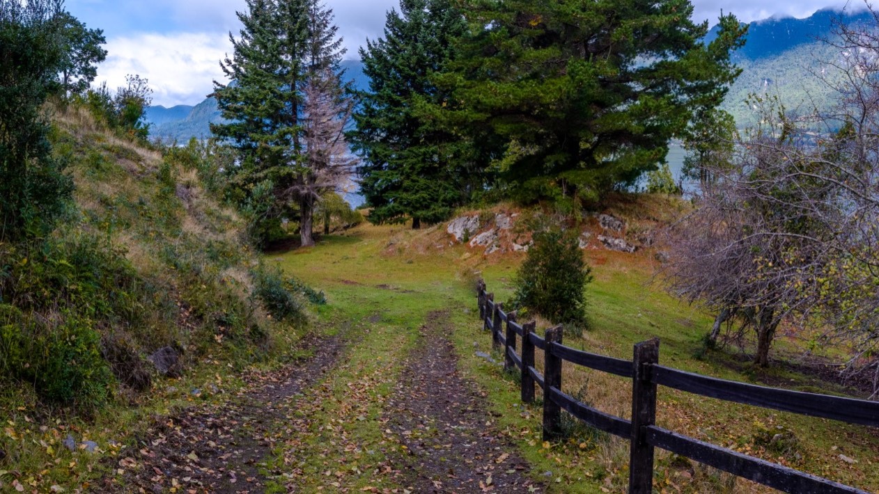 Illahuapi | Lago Ranco