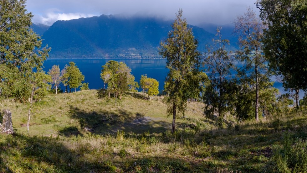 Illahuapi | Lago Ranco