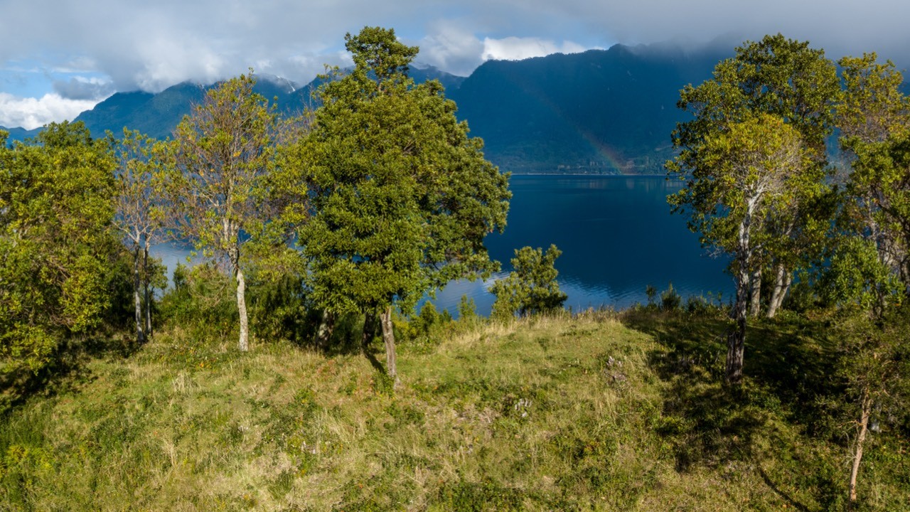 Illahuapi | Lago Ranco