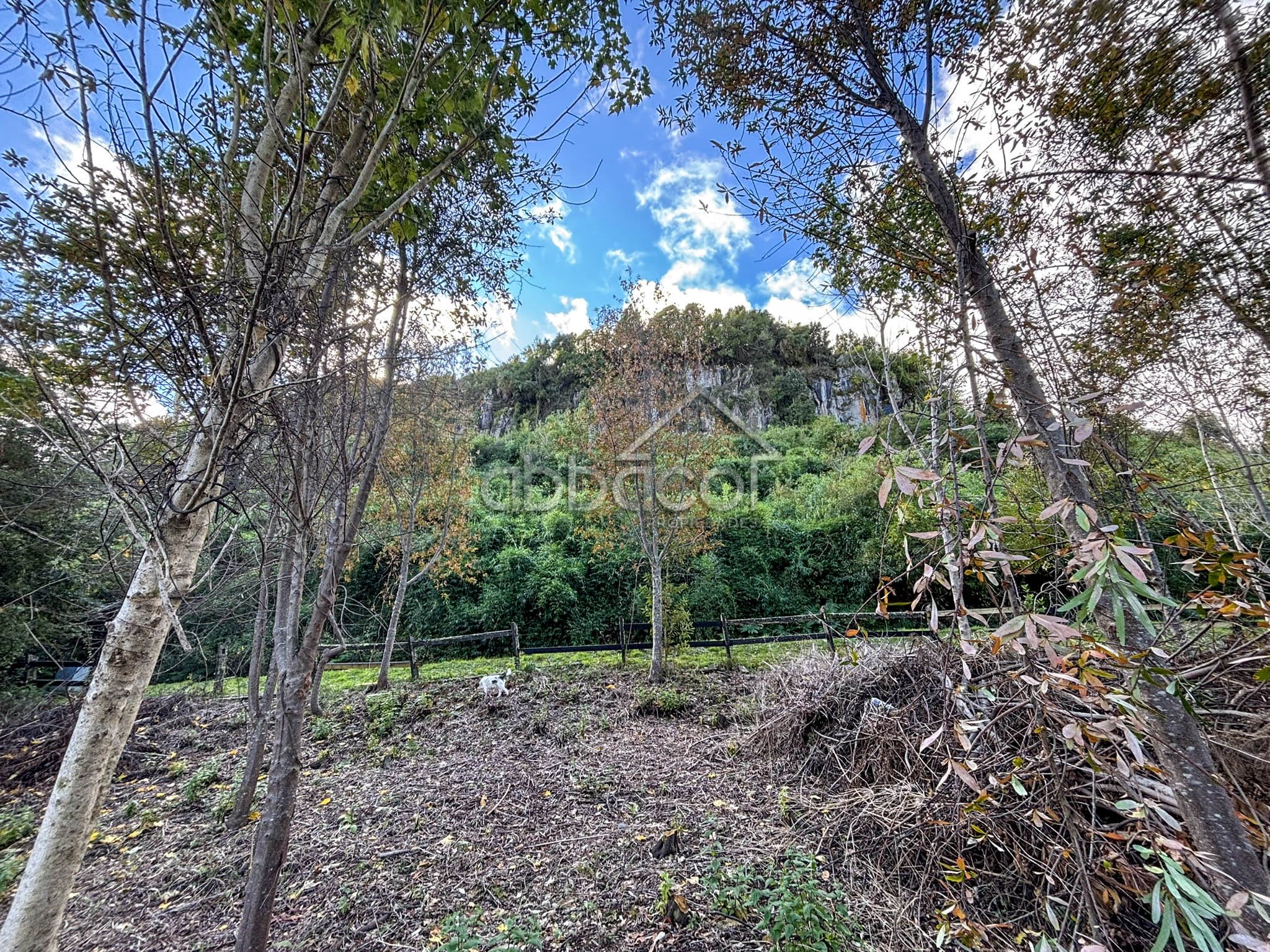 El Encanto | Lago Rupanco