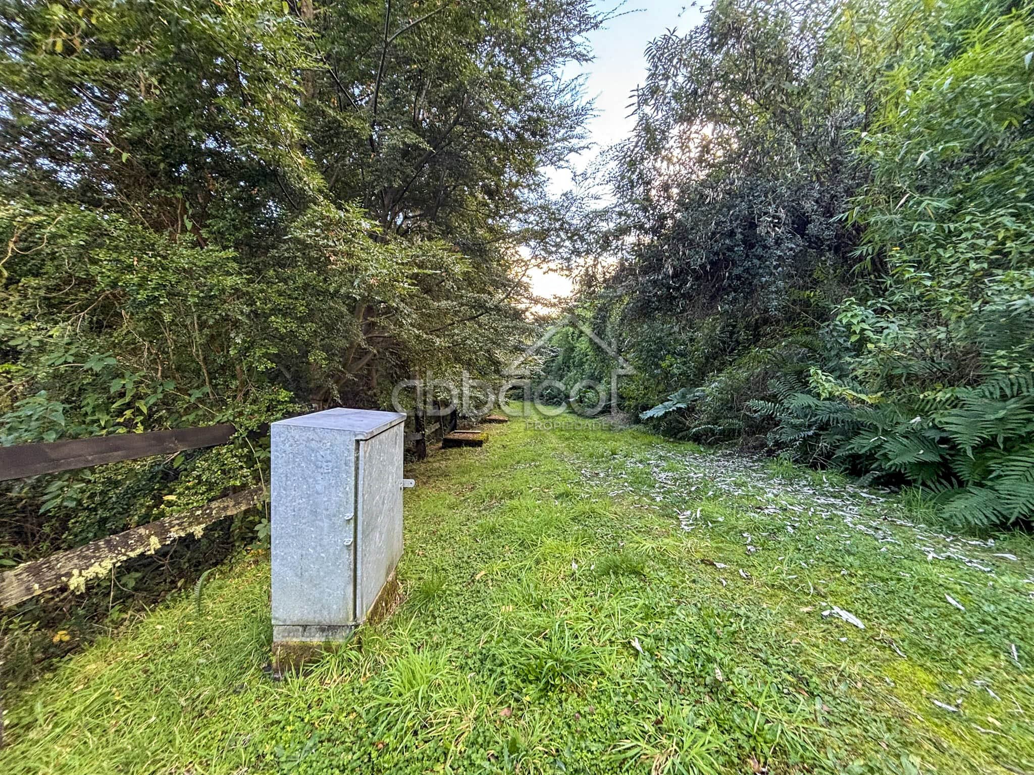 El Encanto | Lago Rupanco