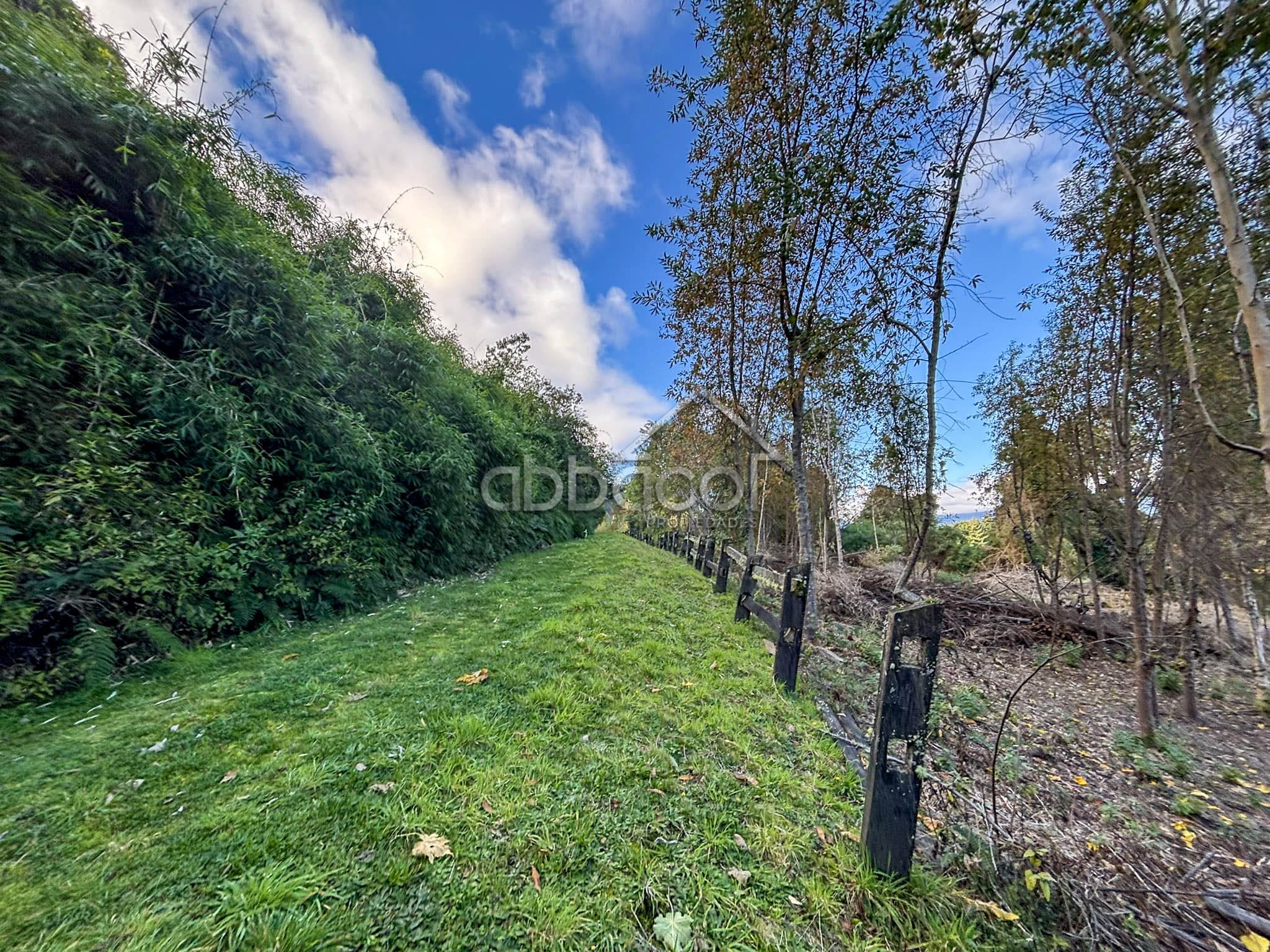 El Encanto | Lago Rupanco