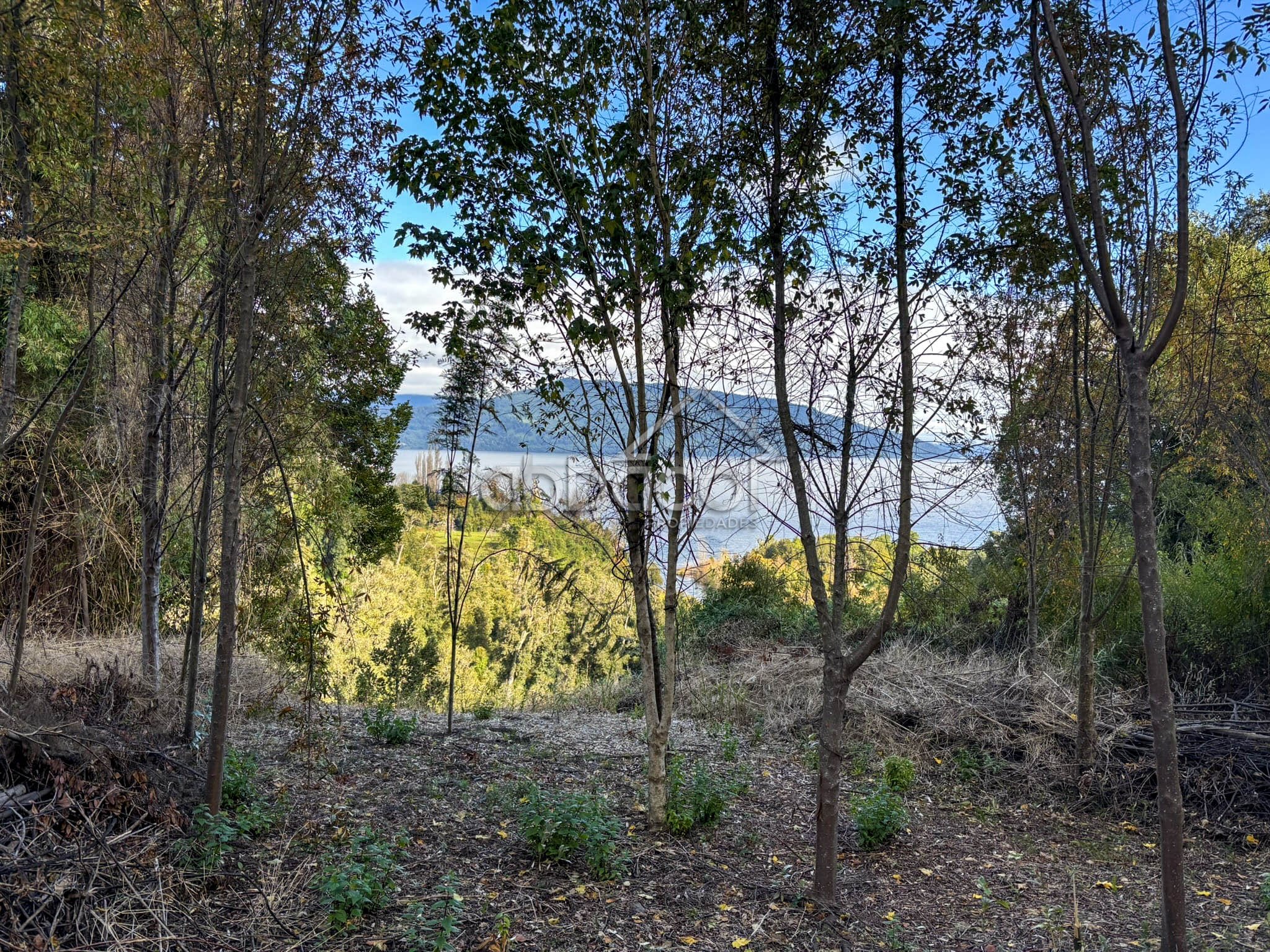 El Encanto | Lago Rupanco
