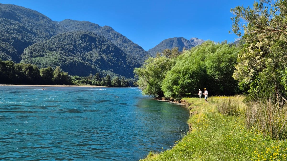 Orilla de río | Puelo