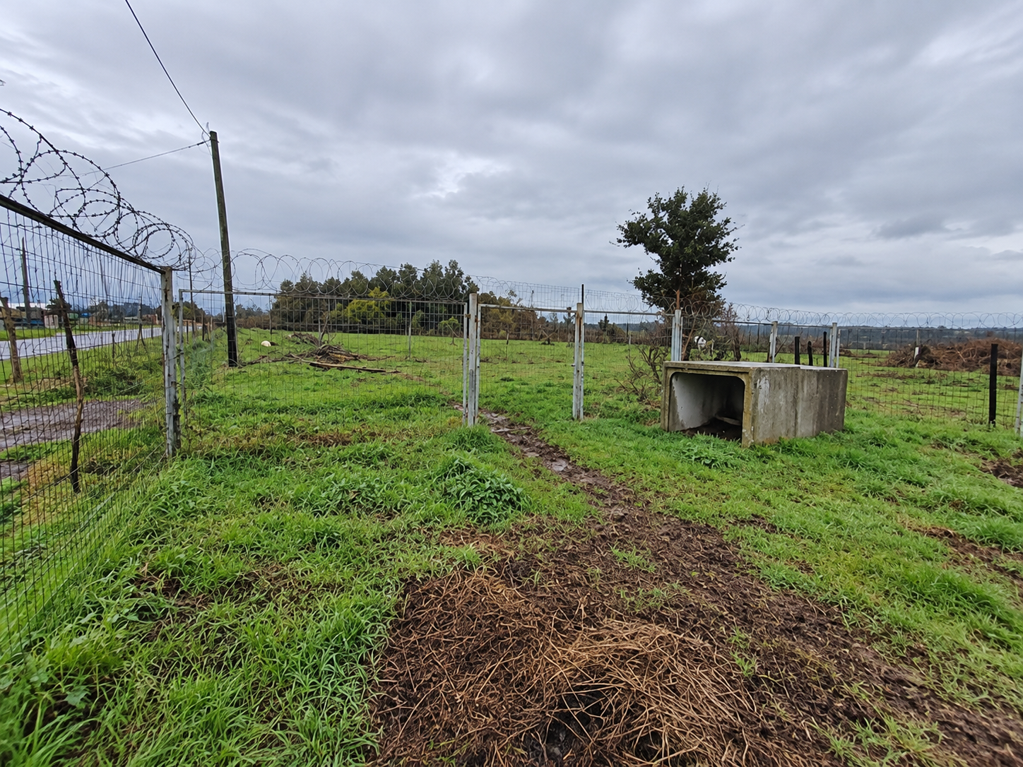 Prop. Agroindustrial | Chillán