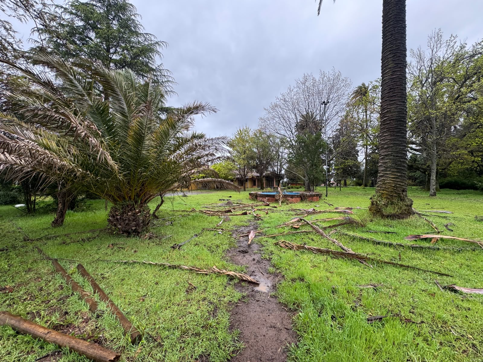 Prop. Agroindustrial | Chillán