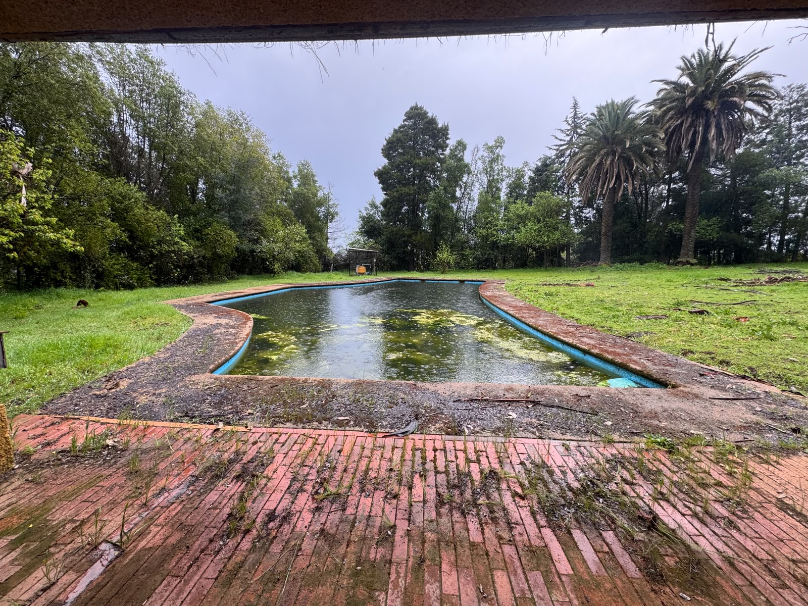 Prop. Agroindustrial | Chillán