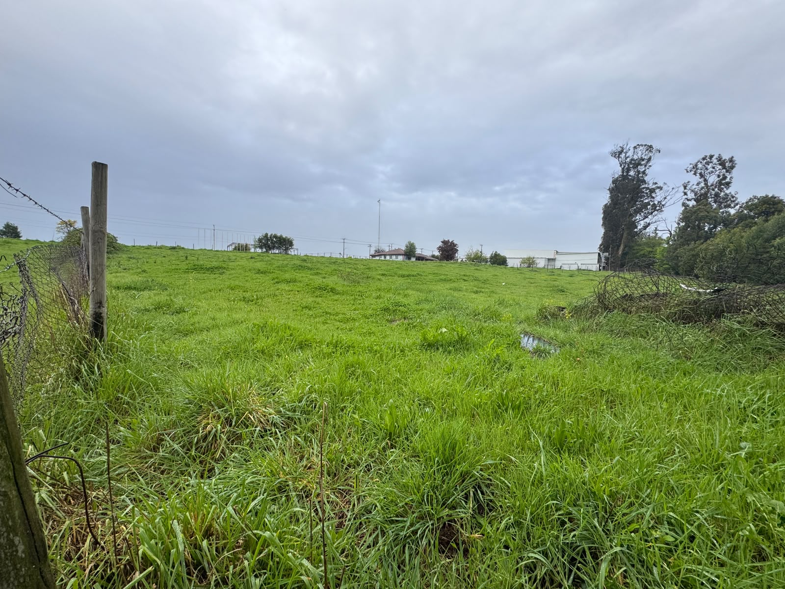 Prop. Agroindustrial | Chillán