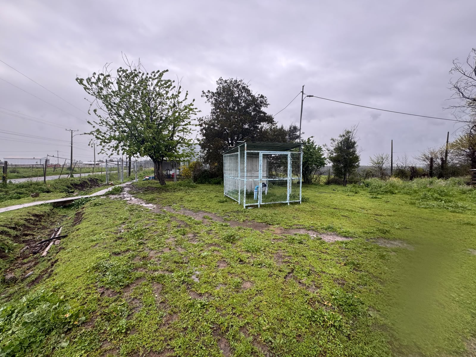 Prop. Agroindustrial | Chillán