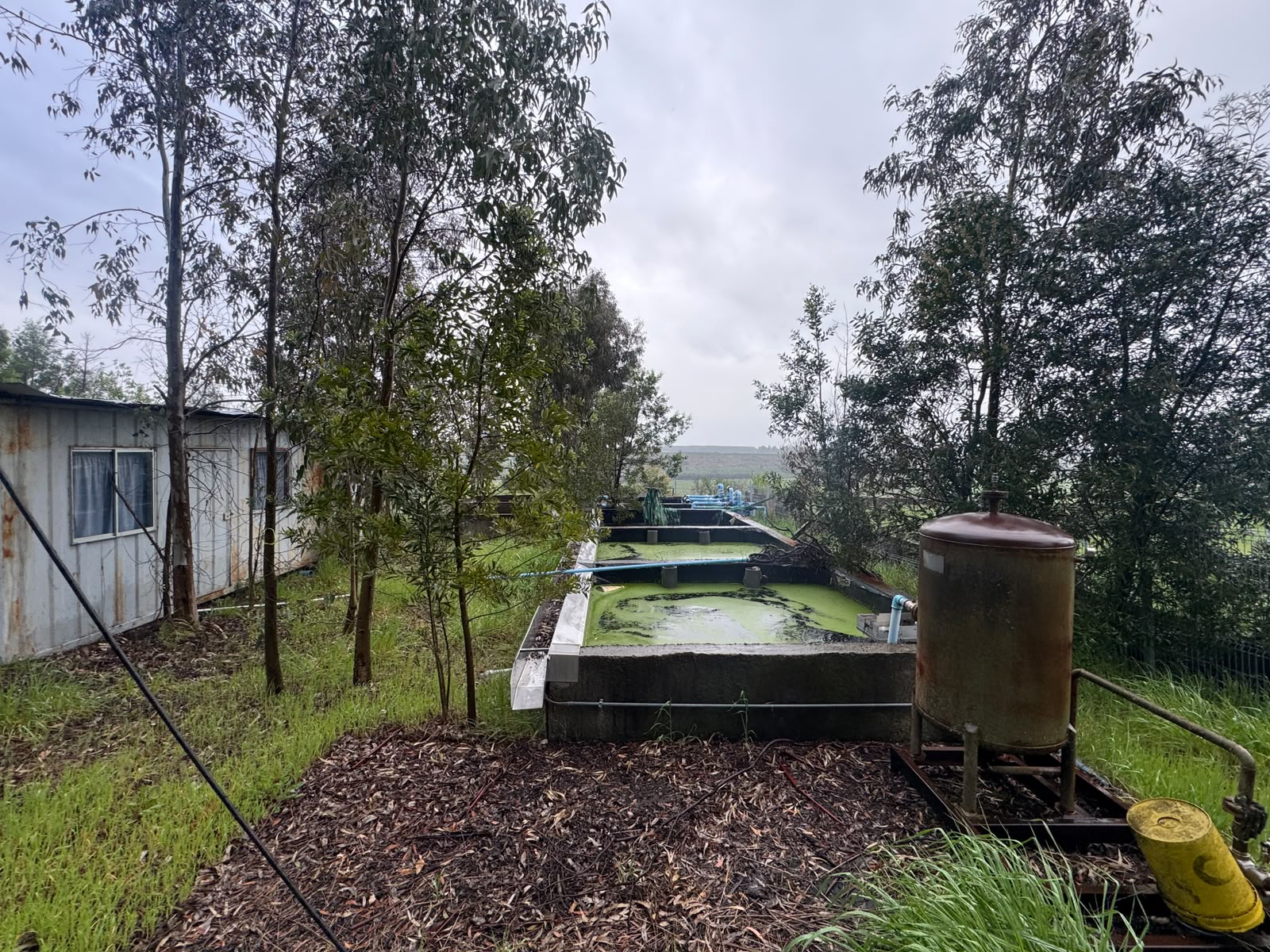Prop. Agroindustrial | Chillán