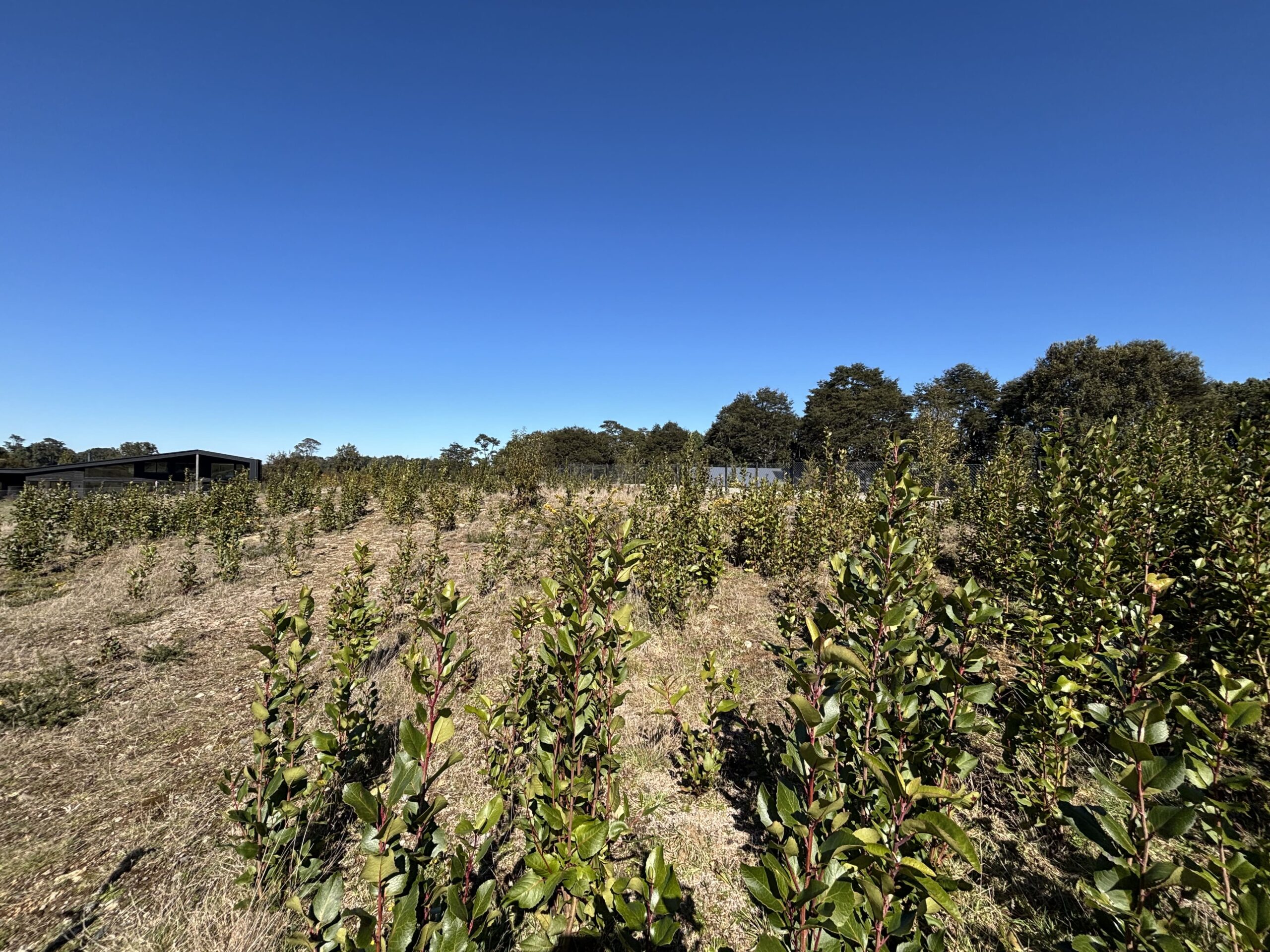 Reserva Santa Clara