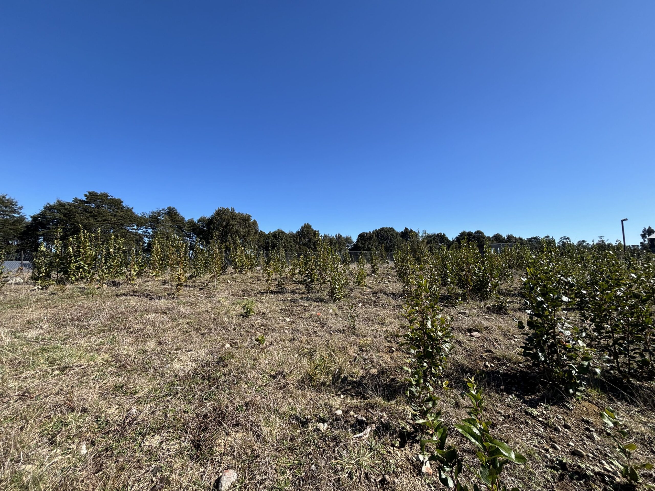 Reserva Santa Clara